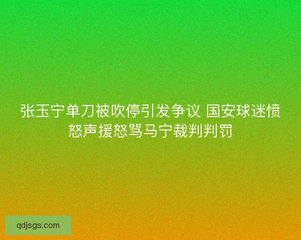 张玉宁单刀被吹停引发争议 国安球迷愤怒声援怒骂马宁裁判判罚