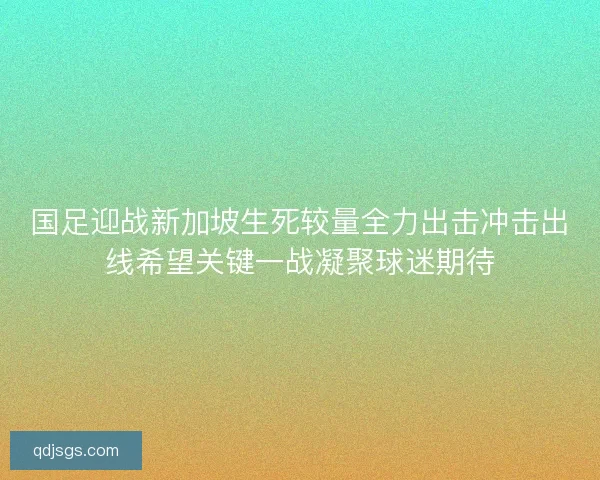 国足迎战新加坡生死较量全力出击冲击出线希望关键一战凝聚球迷期待