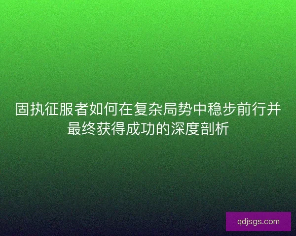 固执征服者如何在复杂局势中稳步前行并最终获得成功的深度剖析