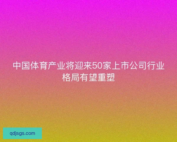 中国体育产业将迎来50家上市公司行业格局有望重塑