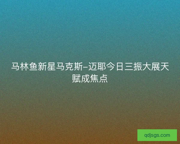 马林鱼新星马克斯-迈耶今日三振大展天赋成焦点